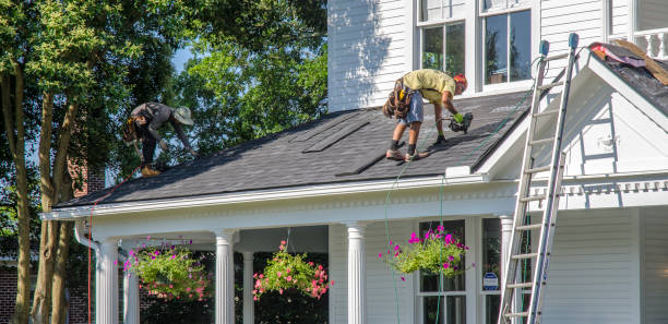 Best Roof Moss and Algae Removal  in The Plains, OH